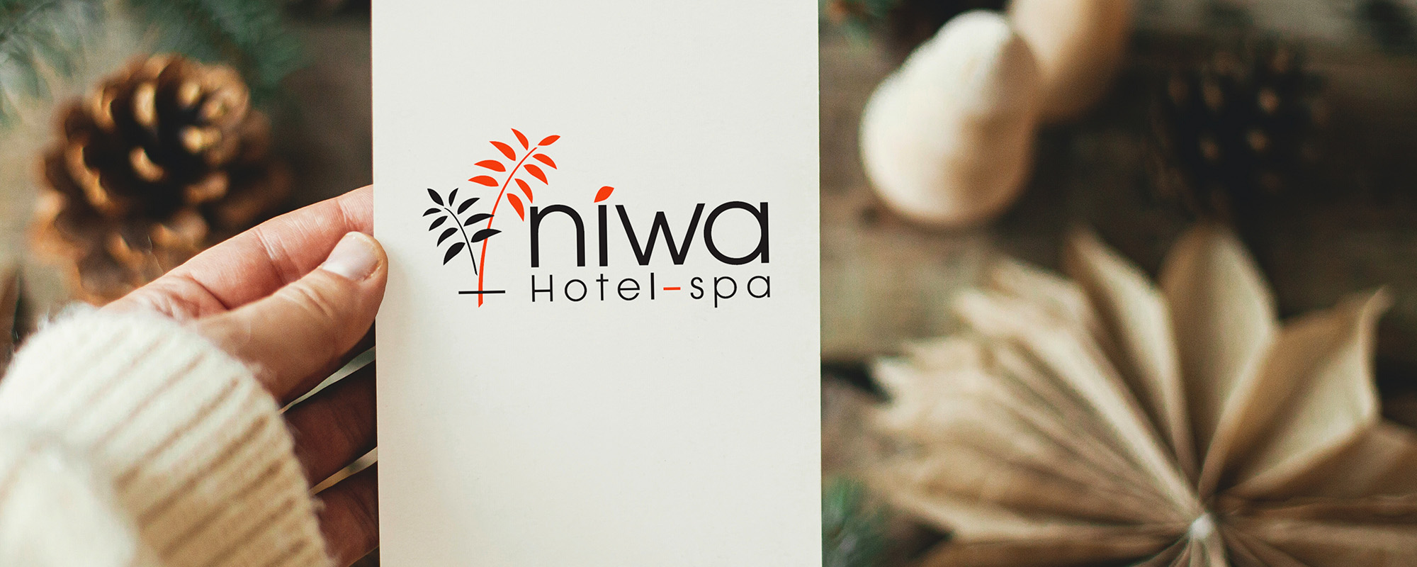 Especial Navidad en Niwa